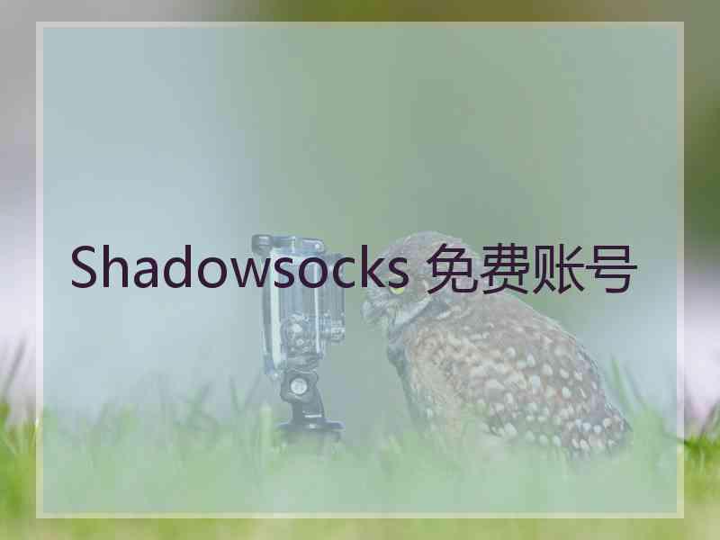 Shadowsocks 免费账号