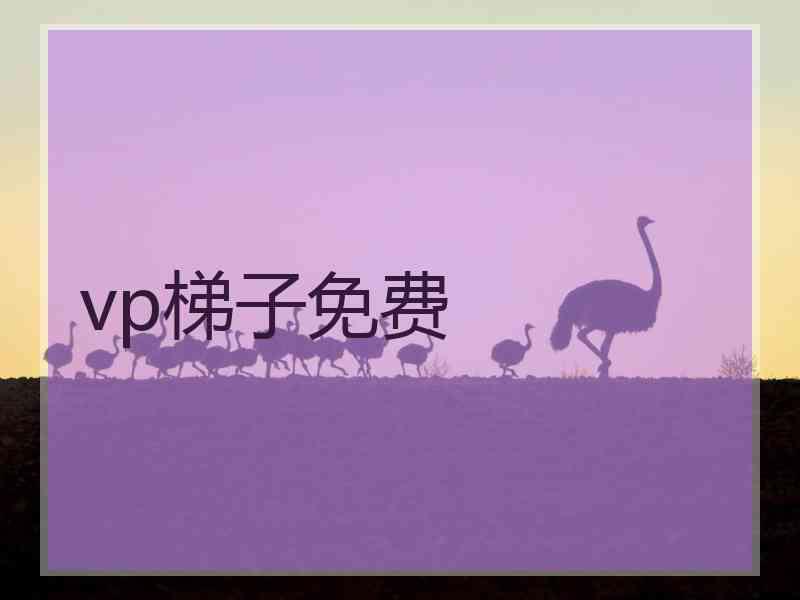 vp梯子免费