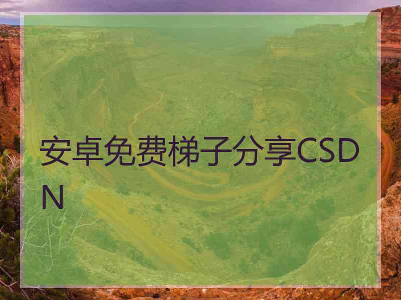 安卓免费梯子分享CSDN