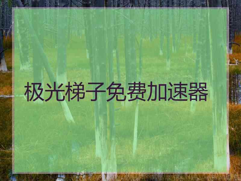 极光梯子免费加速器