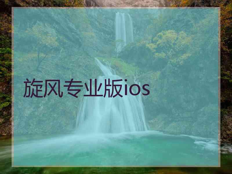 旋风专业版ios