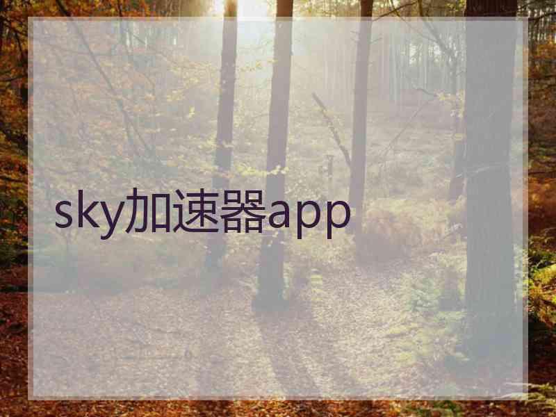 sky加速器app