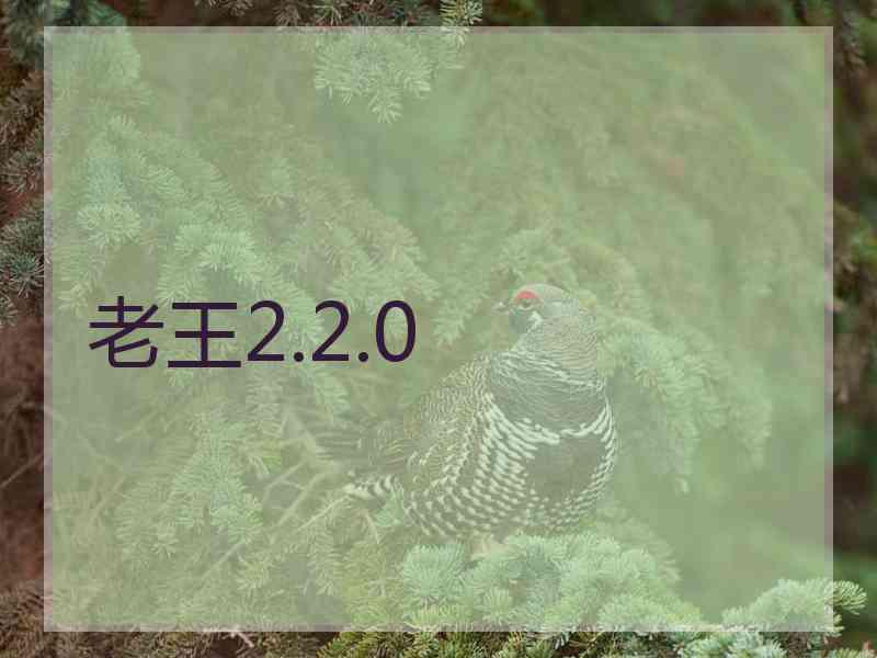 老王2.2.0