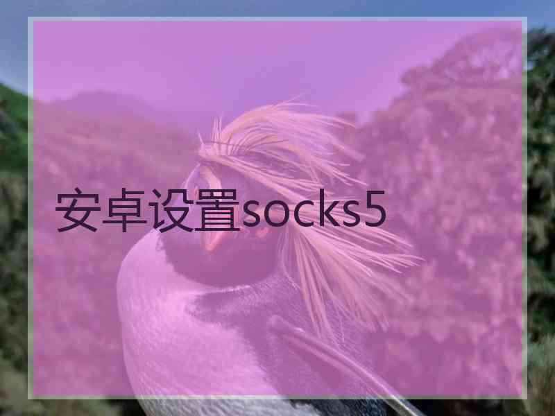 安卓设置socks5