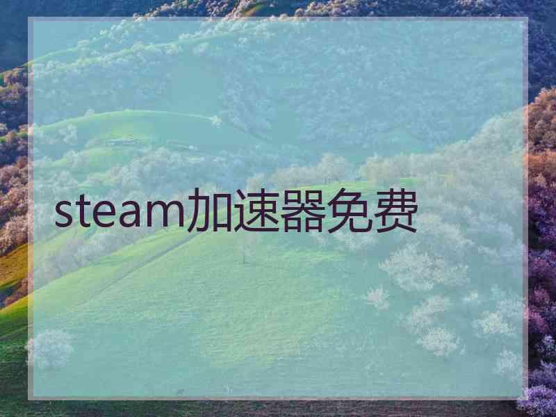 steam加速器免费