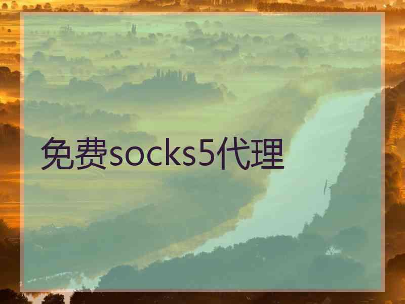 免费socks5代理