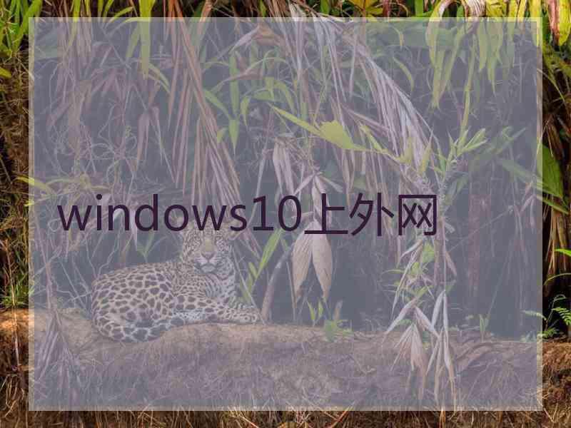 windows10上外网