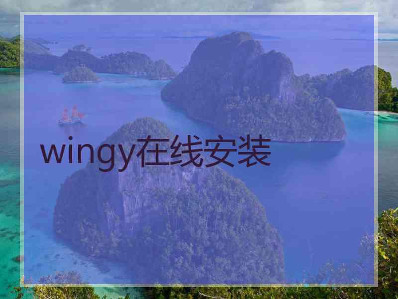 wingy在线安装