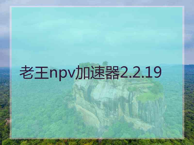 老王npv加速器2.2.19