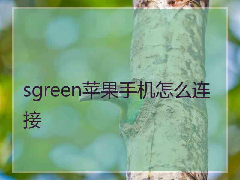 sgreen苹果手机怎么连接