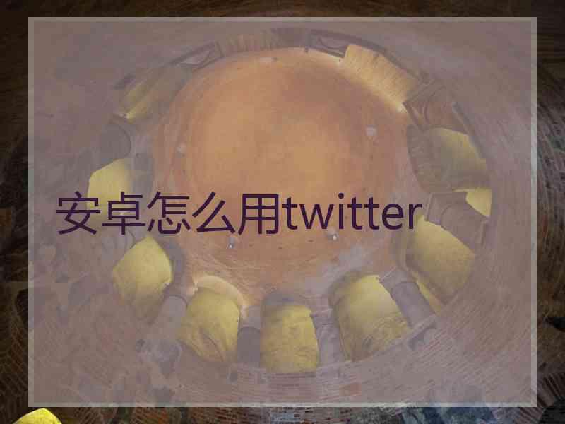 安卓怎么用twitter