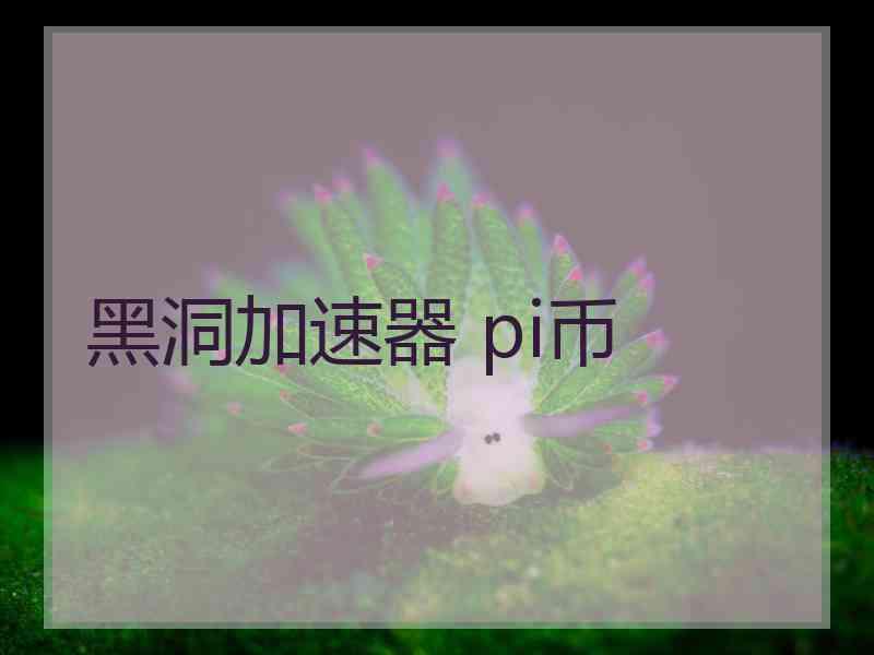 黑洞加速器 pi币