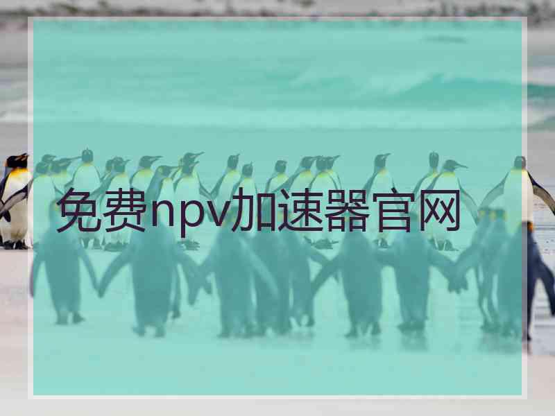 免费npv加速器官网