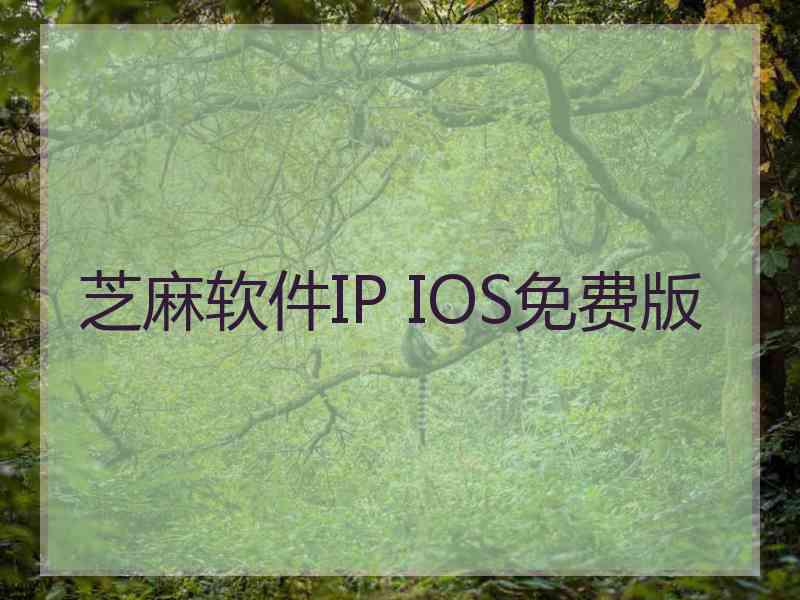 芝麻软件IP IOS免费版