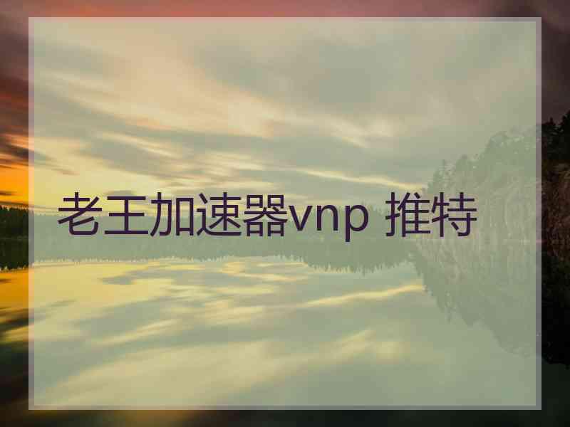 老王加速器vnp 推特