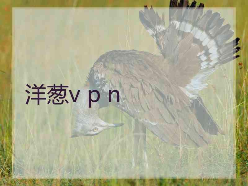 洋葱v p n