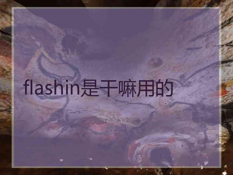 flashin是干嘛用的