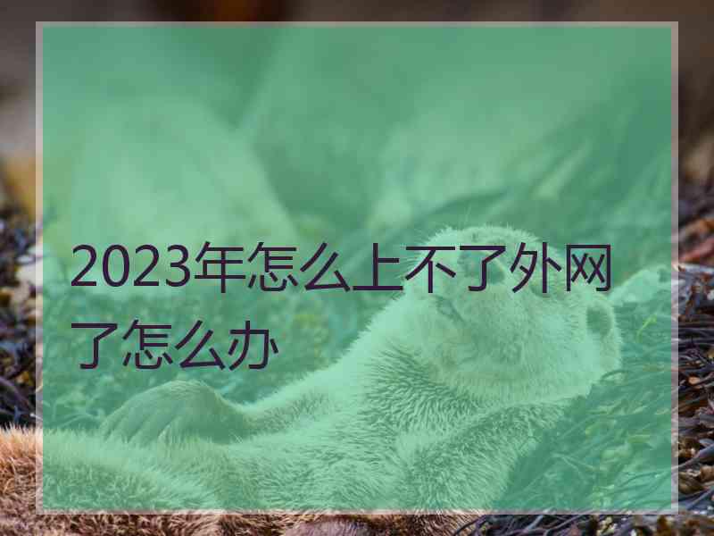 2023年怎么上不了外网了怎么办