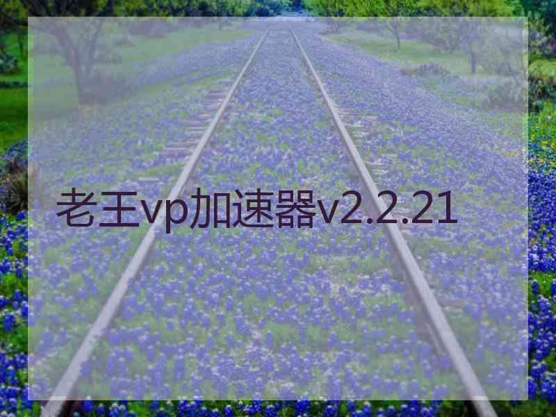 老王vp加速器v2.2.21