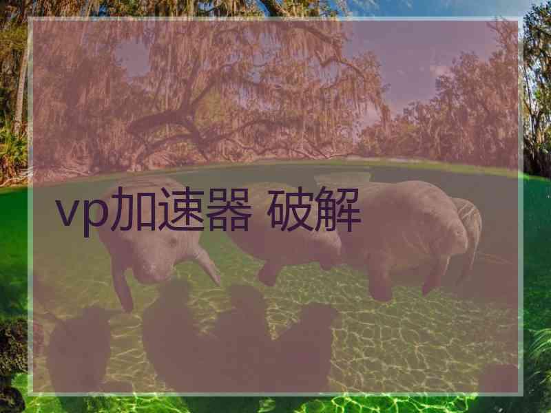 vp加速器 破解