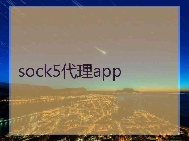 sock5代理app