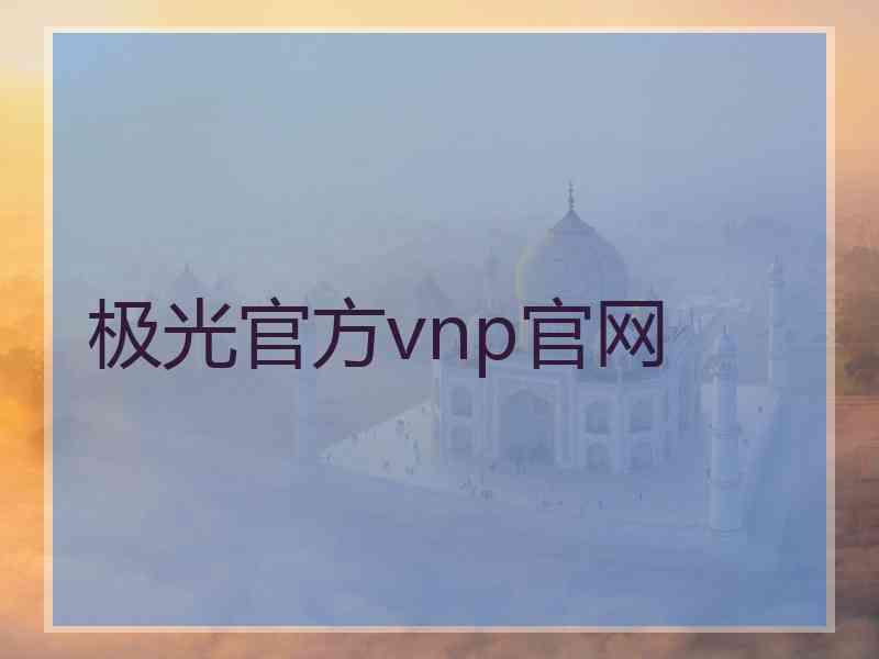 极光官方vnp官网