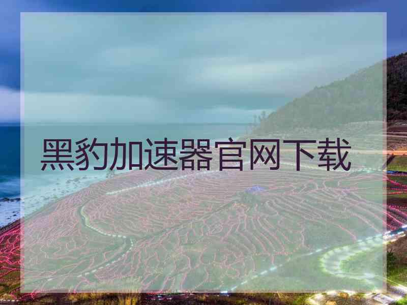 黑豹加速器官网下载