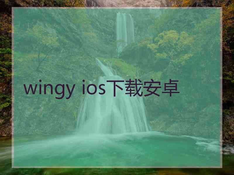 wingy ios下载安卓