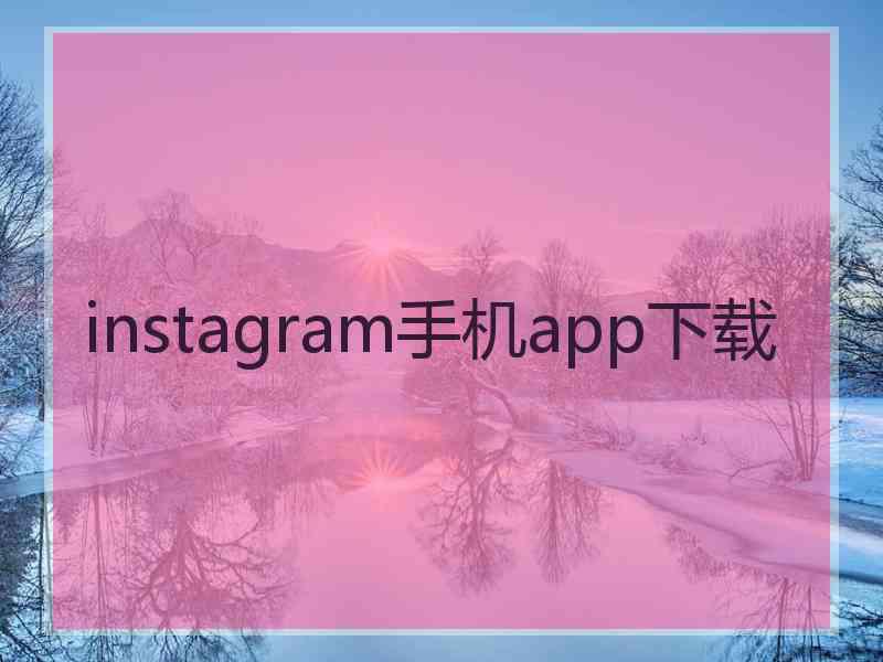 instagram手机app下载