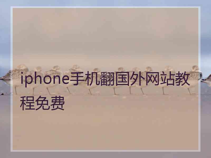 iphone手机翻国外网站教程免费